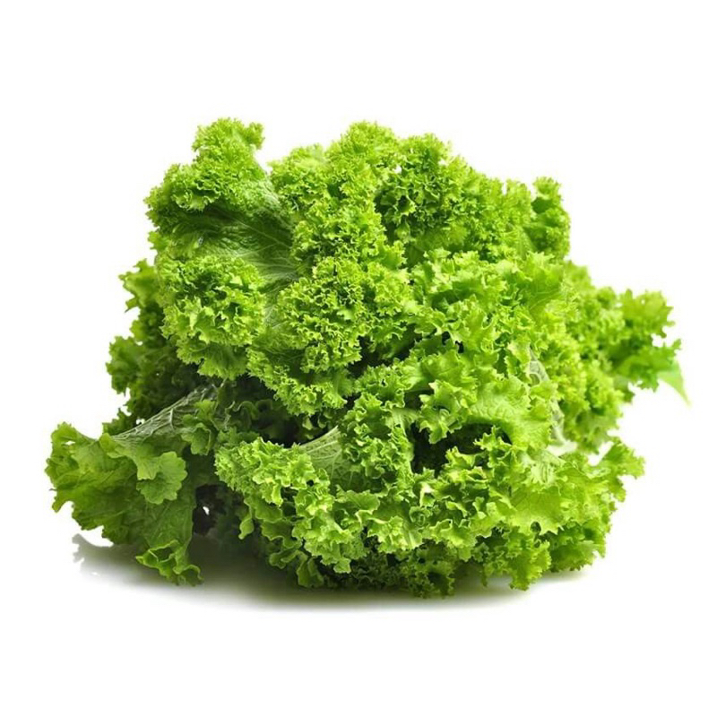 

Selada Segar 500gr