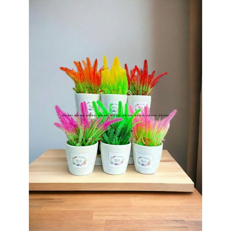 SET  BUNGA PLASTIK SEMANGGI DENGAN POT MELAMIN PUTIH BULAT STIKER