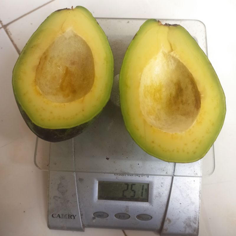 

(1 kg) Alpukat mentega isi 5-8 (mentah)