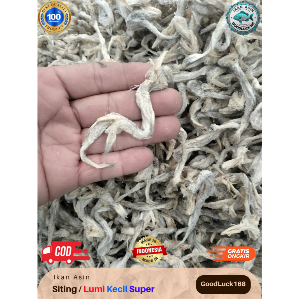 

Ikan Asin Siting Kecil | Ikan Asin Lumi Kecil Super | Jambrong Kecil | Usam Kecil | Siteng