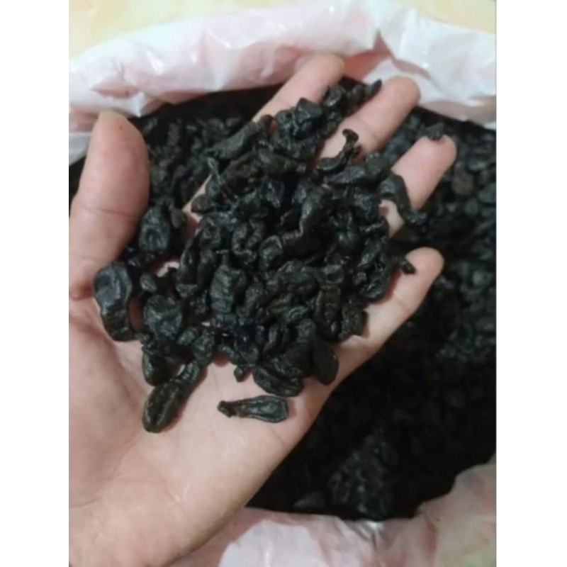 Mpot empot Ayam Hitam Kualitas Premium/mpot Madura