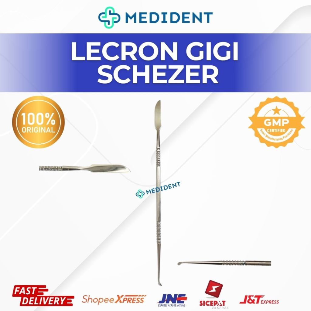 Lecron Gigi Schezer / Lecron Gigi / Dental Lecron / Lecron Skills Lab Gigi RB12
