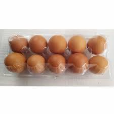

Telur ayam