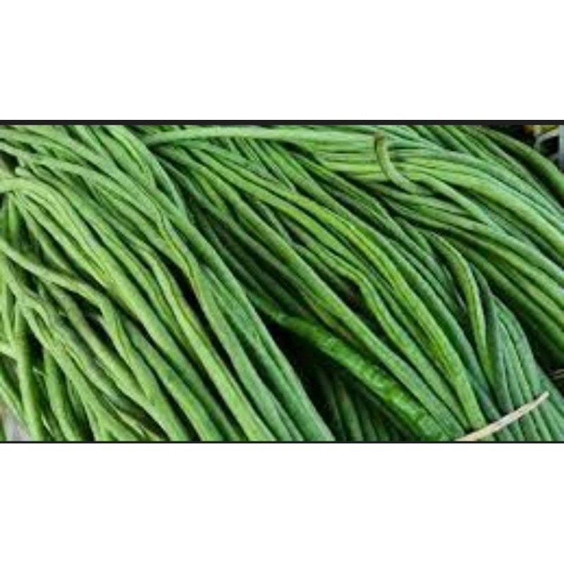 

Kacang Panjang Segar Per 250 gr