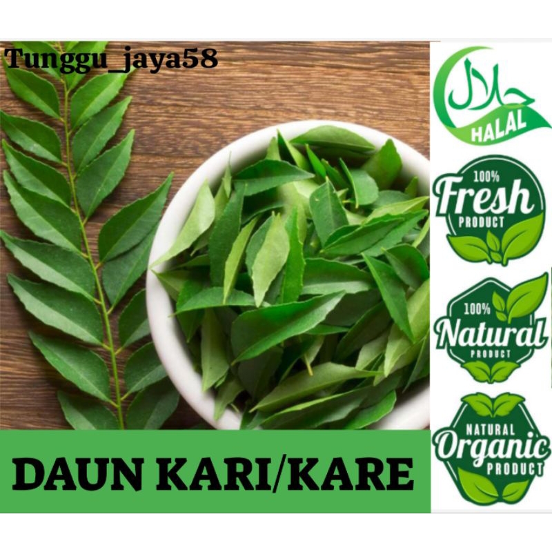 

25 TANGKAI DAUN KARI/KARE SALAM KOJA Fres untuk bumbu masak