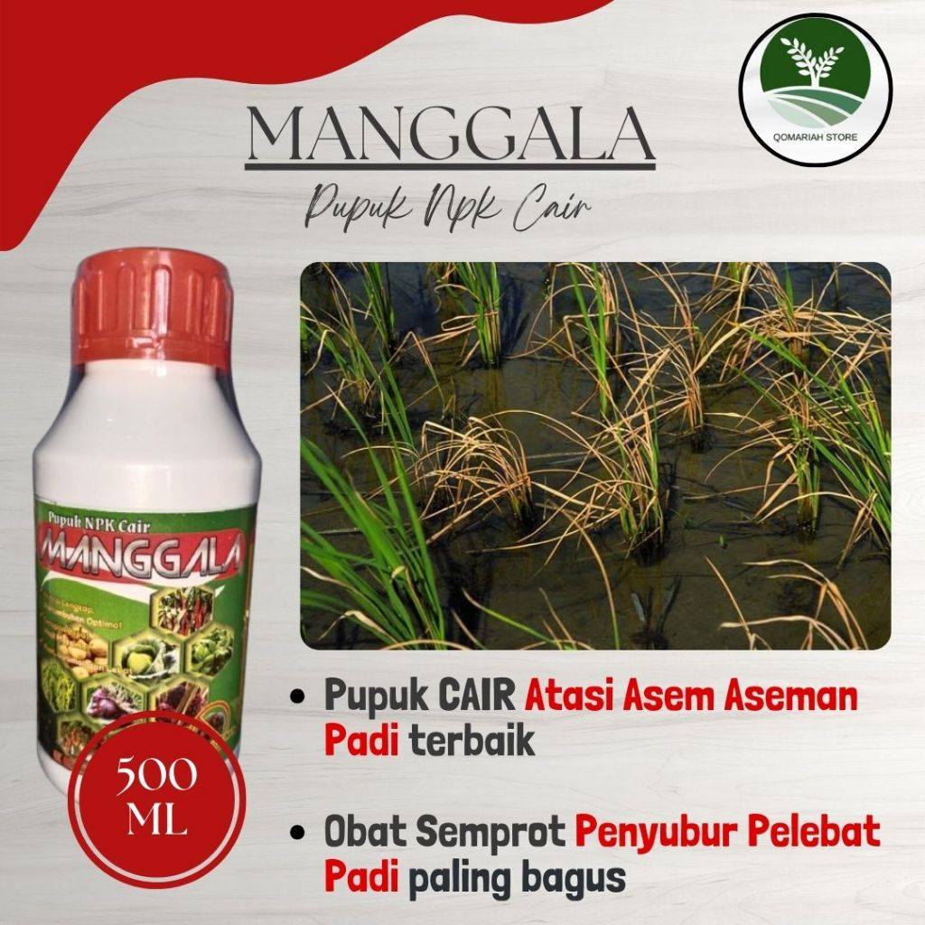 COD AMAN MANGGALA 500ML Pupuk atasi asem aseman padi paling bagus - Obat semprot penyakit asem asema