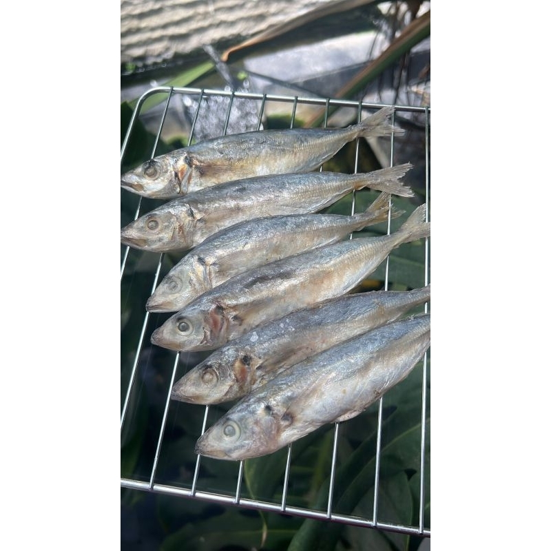 

Ikan Asin Peda