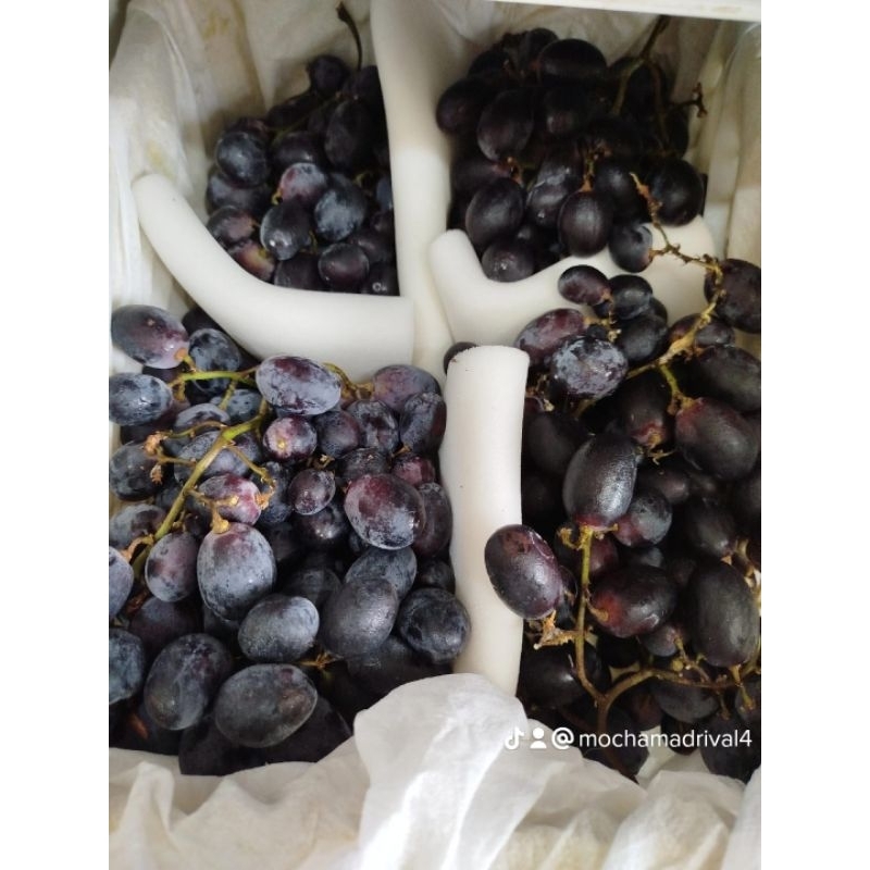 

Anggur Autum 1kg
