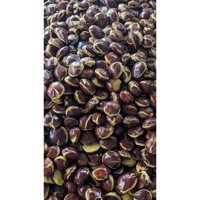 

RB22 SEPI JENGKOL SEGAR 1KG