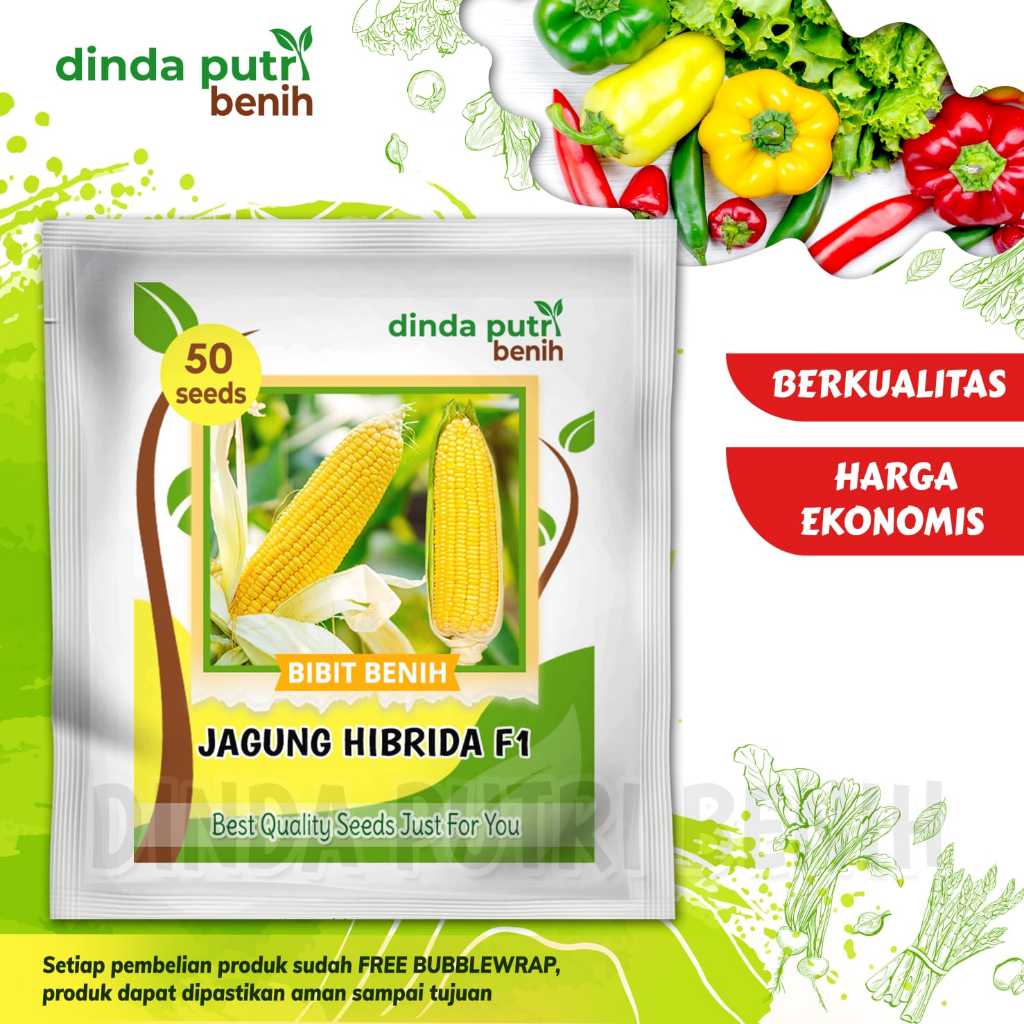 Benih Jagung Hibrida F1 isi benih 50 biji / benih jagung hibrida tidak manis