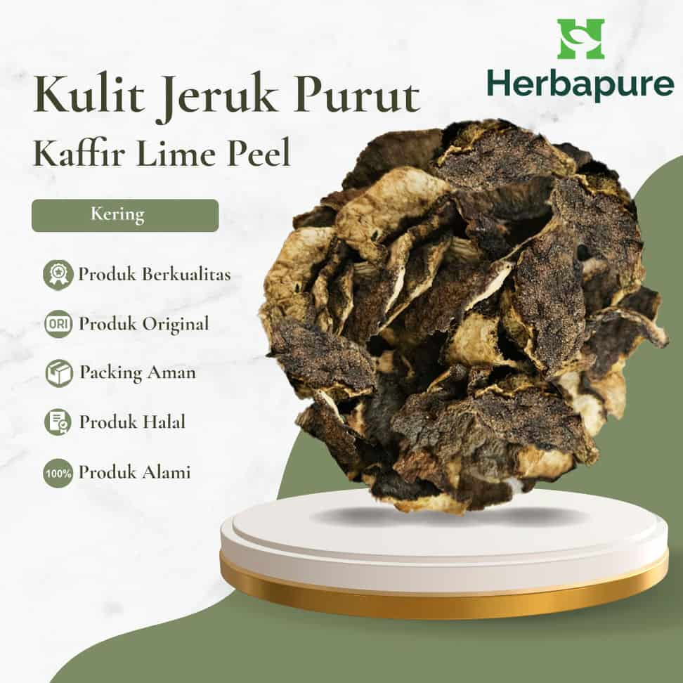 

Herbapure- Kulit Jeruk Purut Kering Redakan Masuk Angin & Batuk | Herbal Alami untuk Wedang, Jamu & Aromaterapi