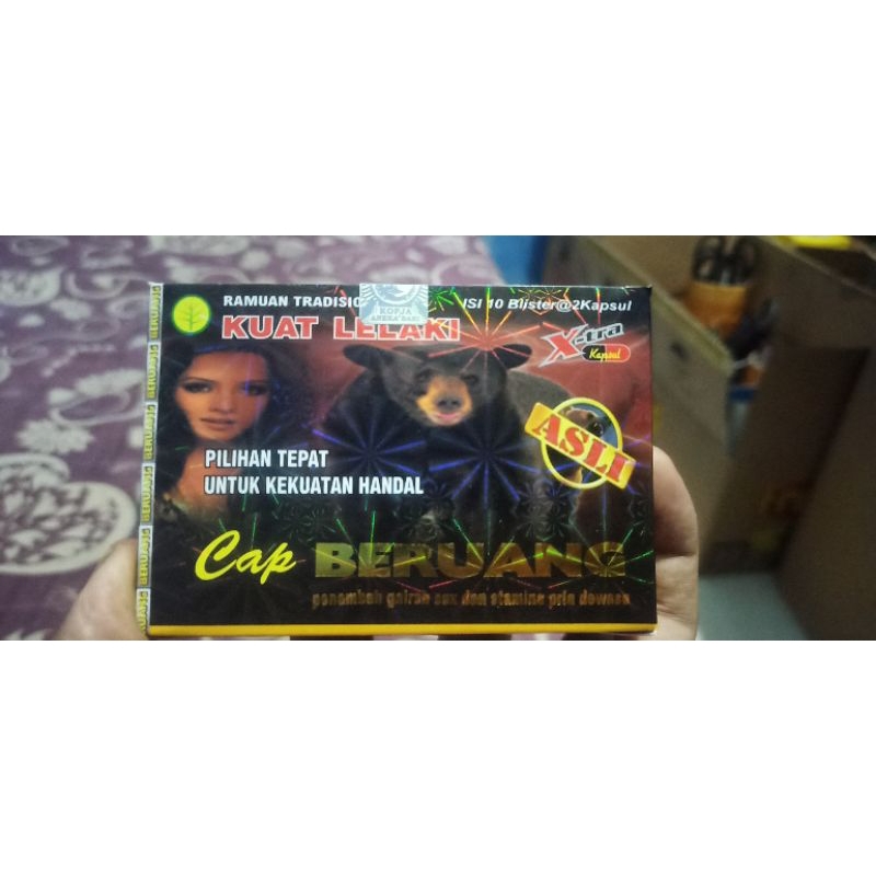 

beruang kapsul
