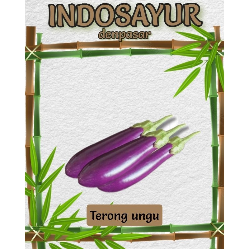

Terong Ungu _ INDOSAYUR