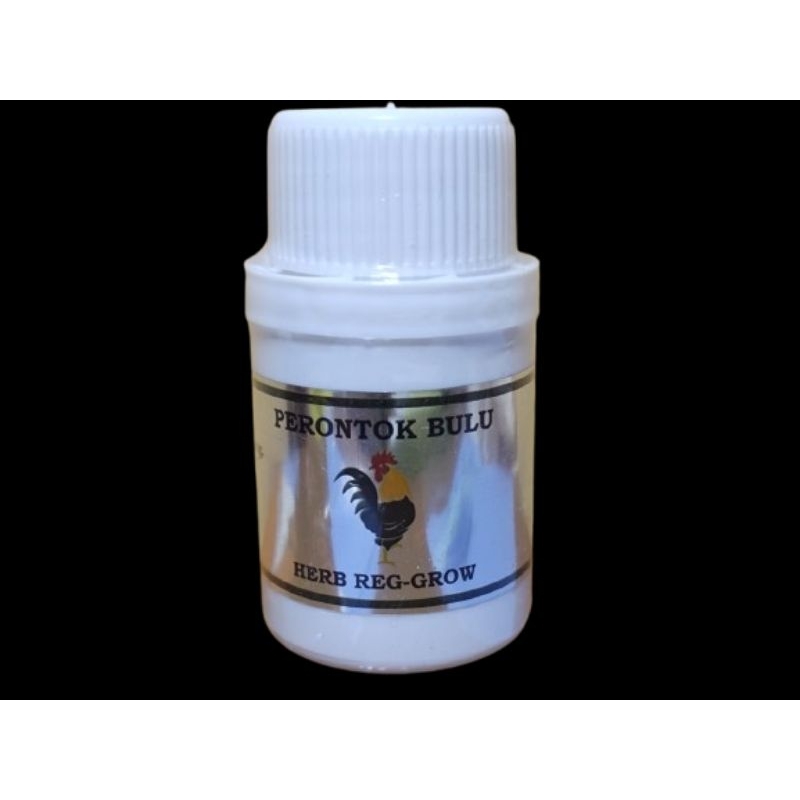 PERONTOK BULU AYAM SAAT MABUNG NGURAK