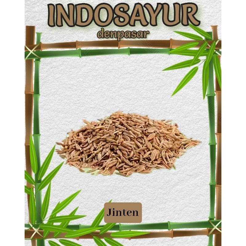

Jinten _ INDOSAYUR