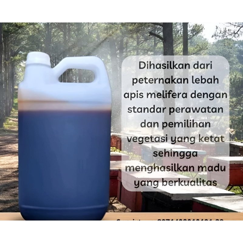 

Madu Akasia Madu Murni Asli Nektar Bunga Akasia Madu Asli Murni 100% dari Hutan Akasia Pulau Sumatera