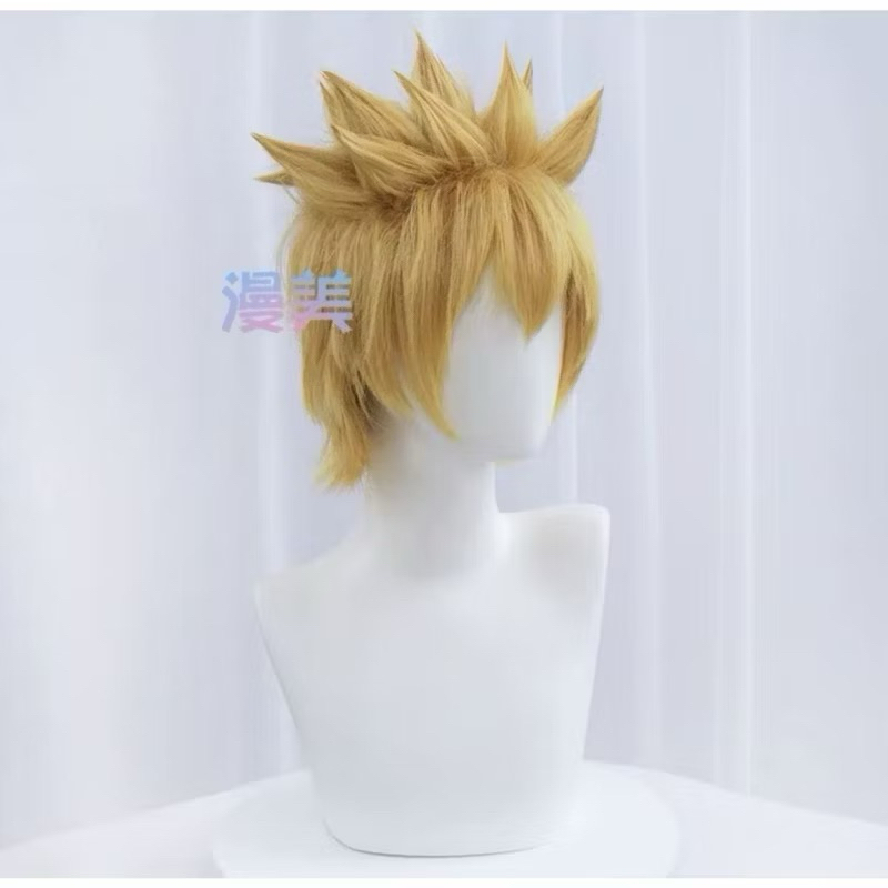 [Takeshi] wig sasuke naruto brand manmei import preorder
