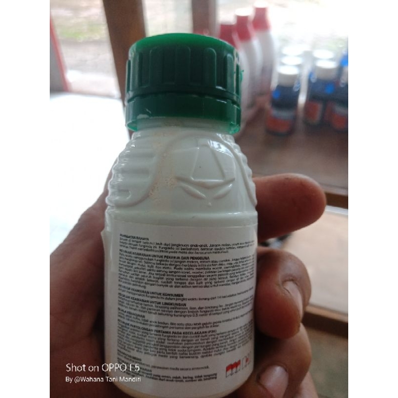 Fungisida TOPSIN M 500ec