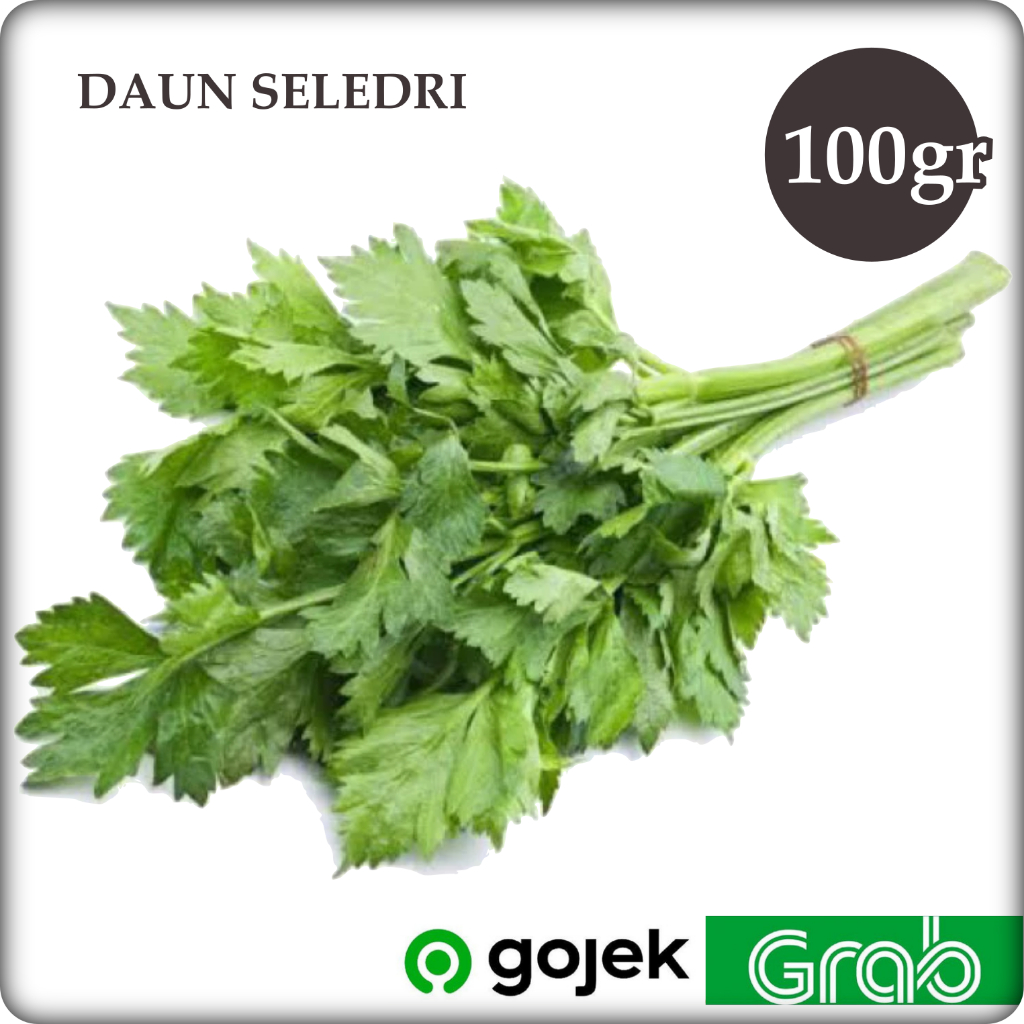 

Daun Seledri