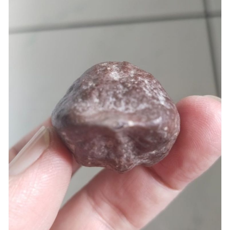 Kemiri Muncang Adu Mayit Anak MD Ori Tua Jatuhan