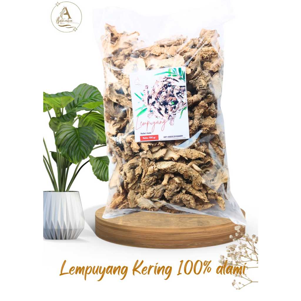 

Lempuyang Kering 500gr - Puyang Iris Rajang Kering Kualitas Bagus