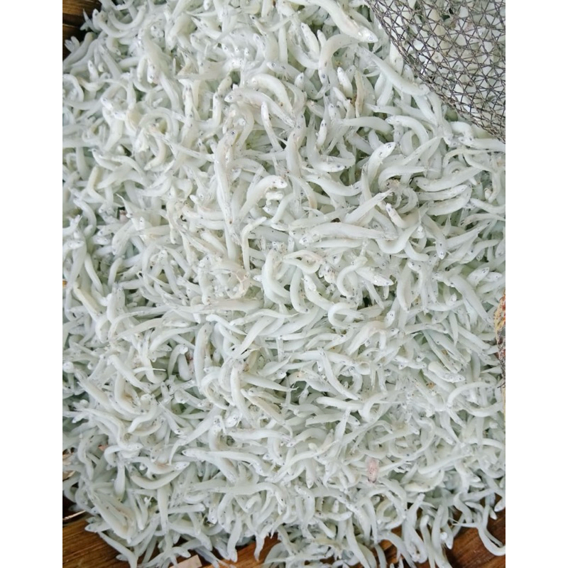 

TERI TOGE SUPER ASAHAN 500gram