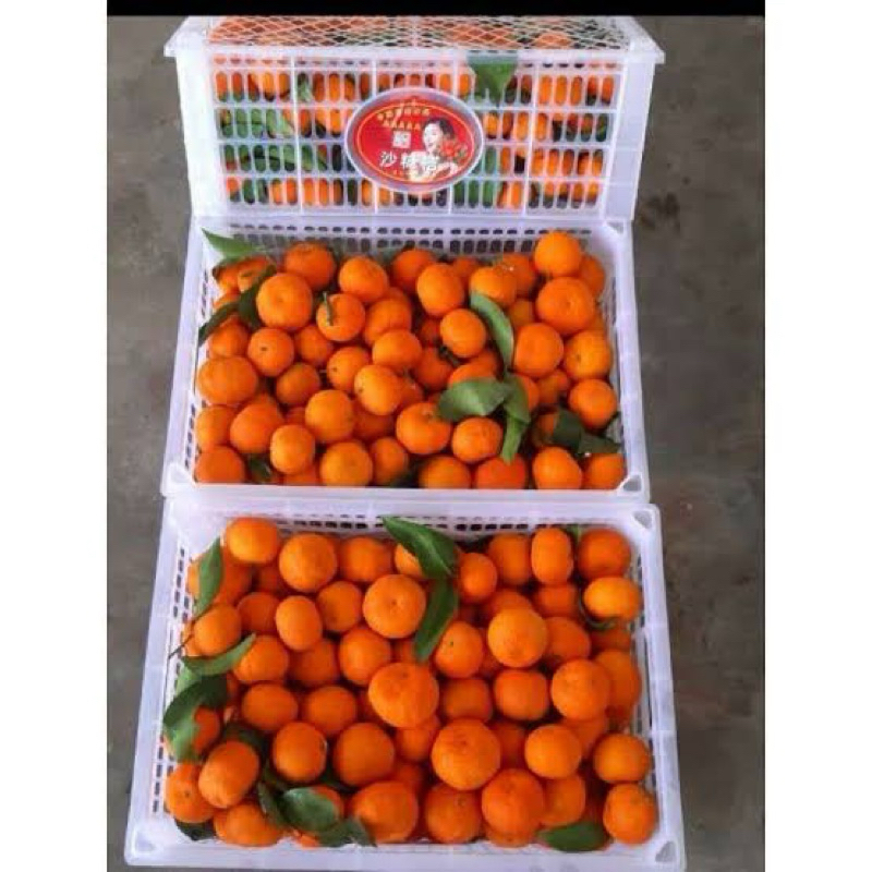

Jeruk Santang | Jeruk Ponkam Jeruk Mandarin Hampers Imlek 1 Keranjang