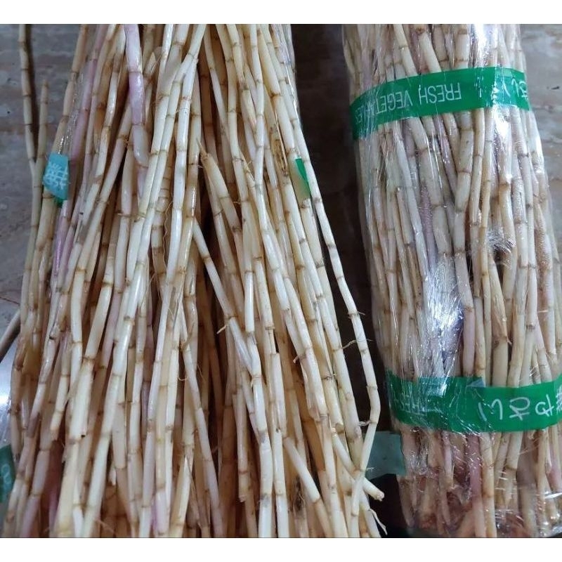 

Akar Alang Alang (obat herbal)500gram