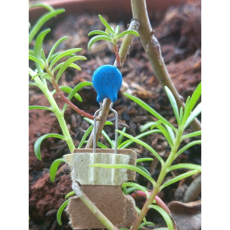 kapasitor 222 2n2 berkawlitas