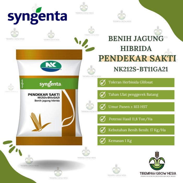 BENIH JAGUNG NK PENDEKAR SAKTI JAGUNG NK 212S JAGUNG PENDEKAR SAKTI BENIH NK SAKTI