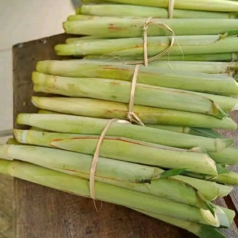

Turubuk Sayur Segar