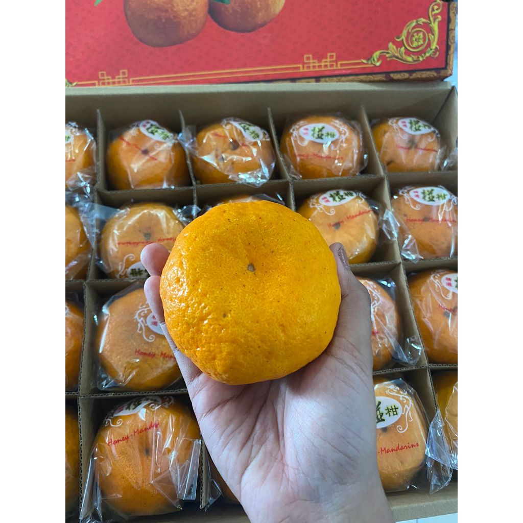 

JERUK KUPAS PONKAM HDL .MURAH MANIS ENAK SEGAR FRESH