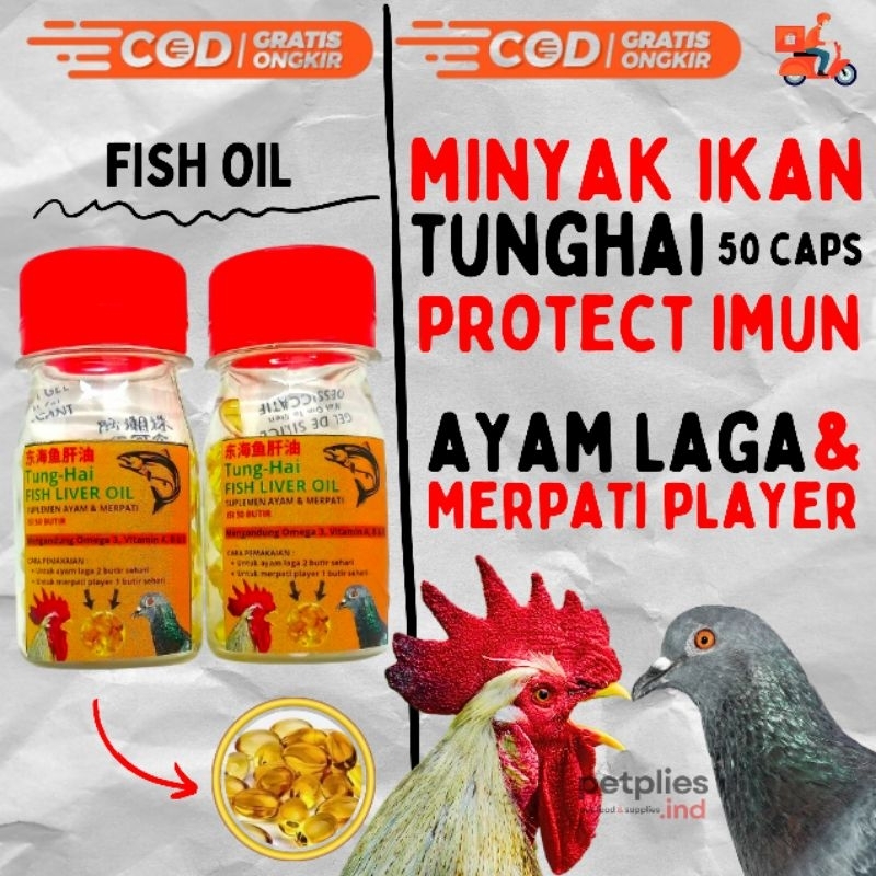 MINYAK IKAN AYAM LAGA & MERPATI - 50 BUTIR TUNGHAI FISH SEMPATI TUNG HAI LIVER OIL MINYAK IKAN FISH 