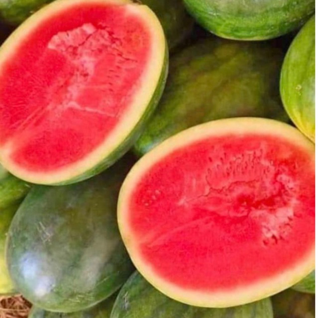 

RB BUAH SEMANGKA NON BIJI JUMBO