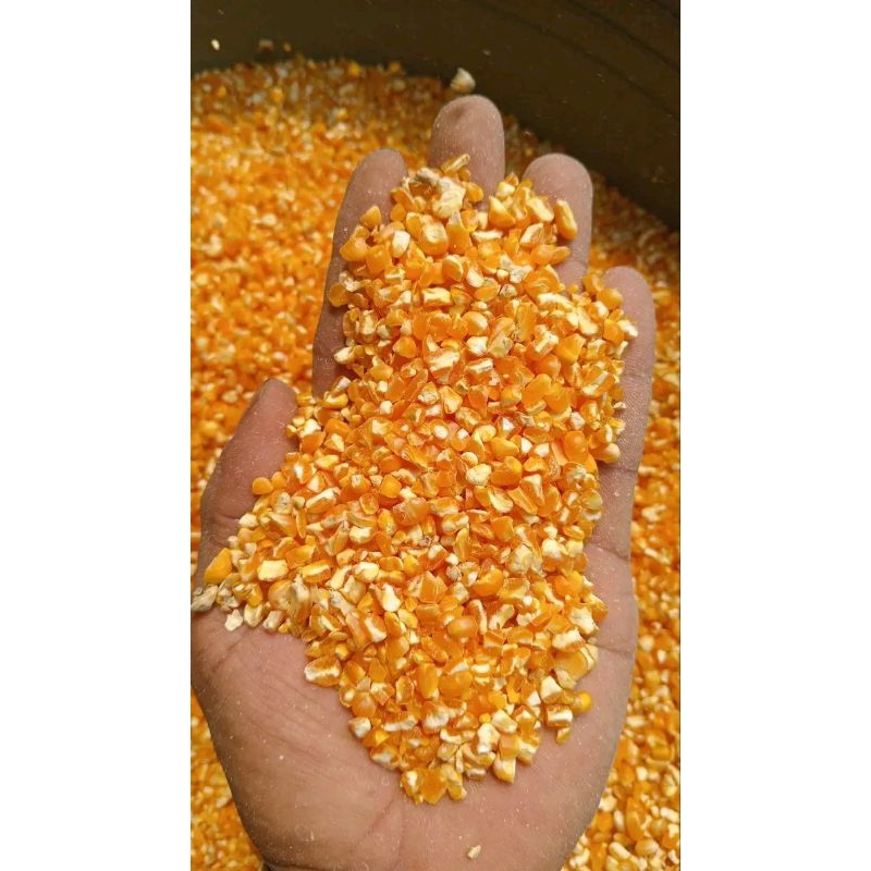 JAGUNG GILING KASAR KERING BESIH 1KG