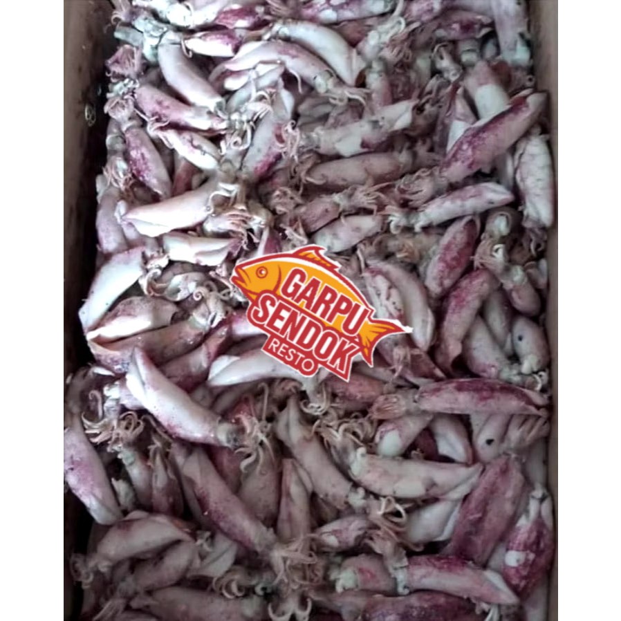 

GROSIR!!! 1KG IKAN CUMI ASIN/ Cumi Asin Murah / Cumi Asin Enak / Cumi Asin Gurih