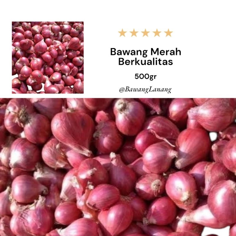 

Bawang Merah Berkualitas 1/2kg