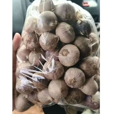 

bawang lanang / tunggal 500 gram ukuran besar
