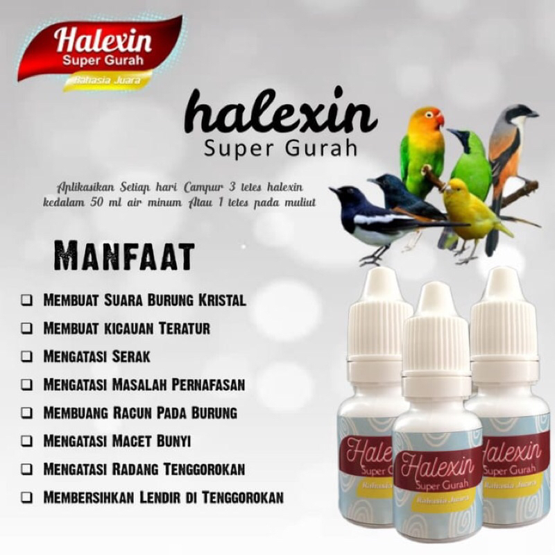 Gurah Pro Vitamin Super Gurah Burung Halexin