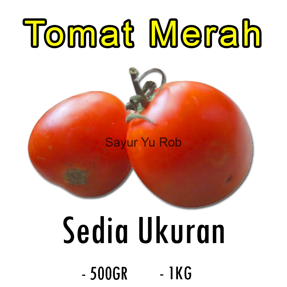 

sayur tomat merah segar fresh 1kg/500gr