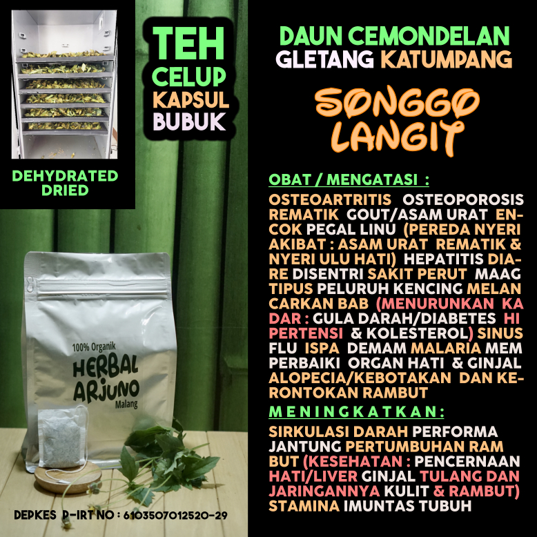 

Dehydrated Dried Teh Celup Kapsul Bubuk Daun Songgo Langit Cemondelan Gletang Obat Alopecia Kebotakan Osteoporosis Osteoartritis Gout Asam Urat Rematik Hepatitis Sinus ISPA Tipus Maag Kolesterol Hipertensi Encok Pegal Linu Rambut Rontok Sendi Herbal Alami