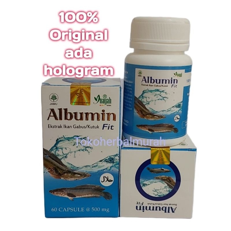Albumin Fit Kapsu Ekstrak Ikan Gabus Pro Albumin Obat Pasca Operasi
