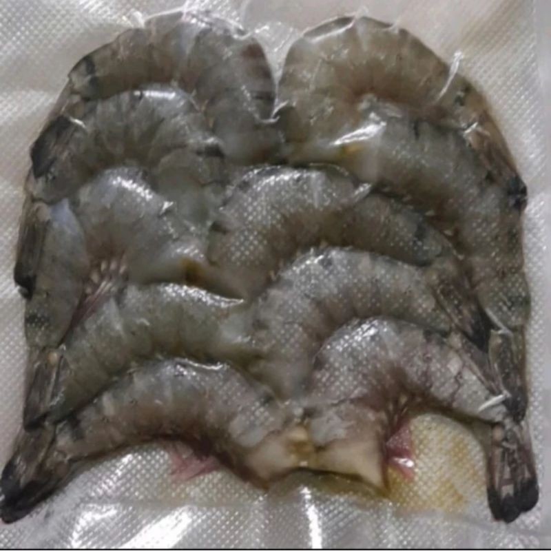 

Udang Windu Tanpa Kepala / Tiger Prawn Head less