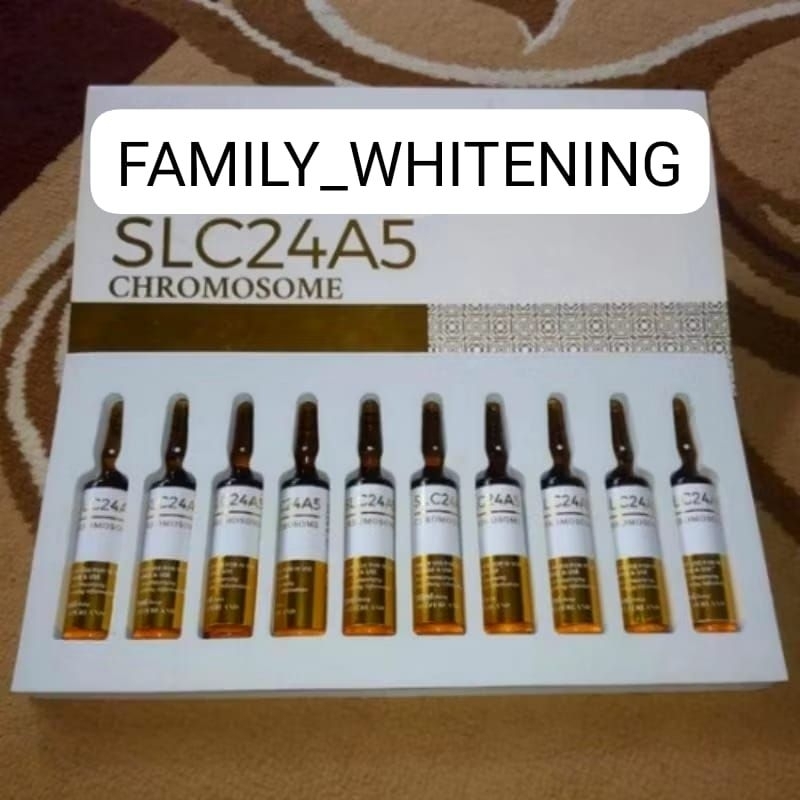 SLC GOLD SLC24A5 CHROMOSOME GOLD PERBOX