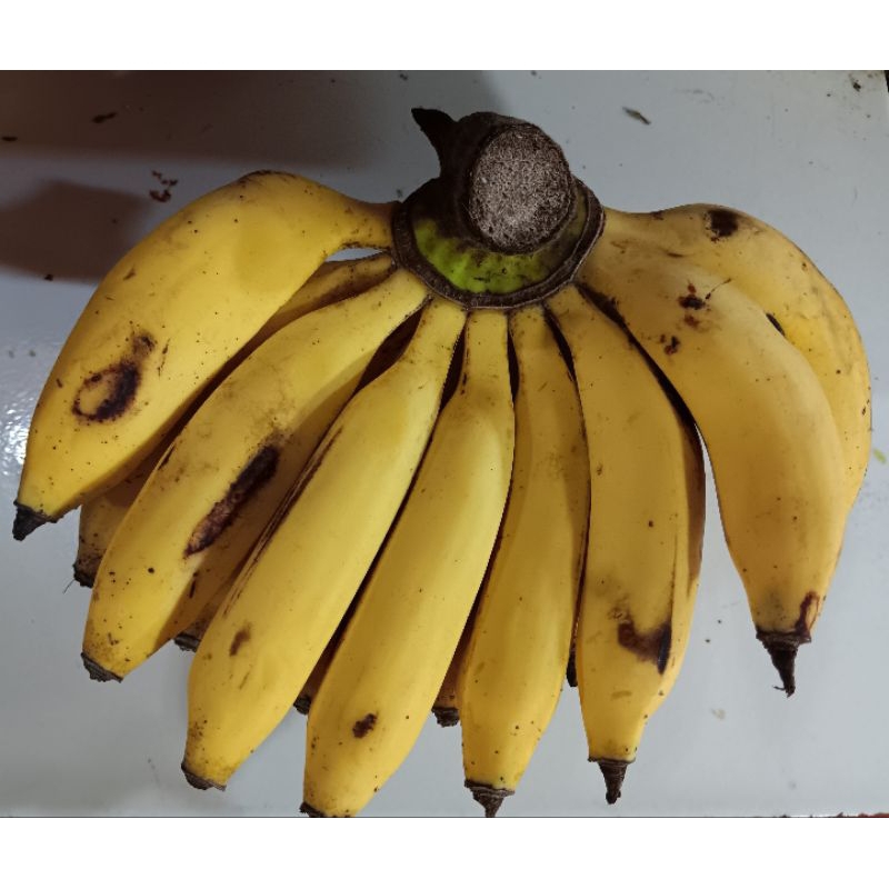 

pisang uli segar 1 sisir