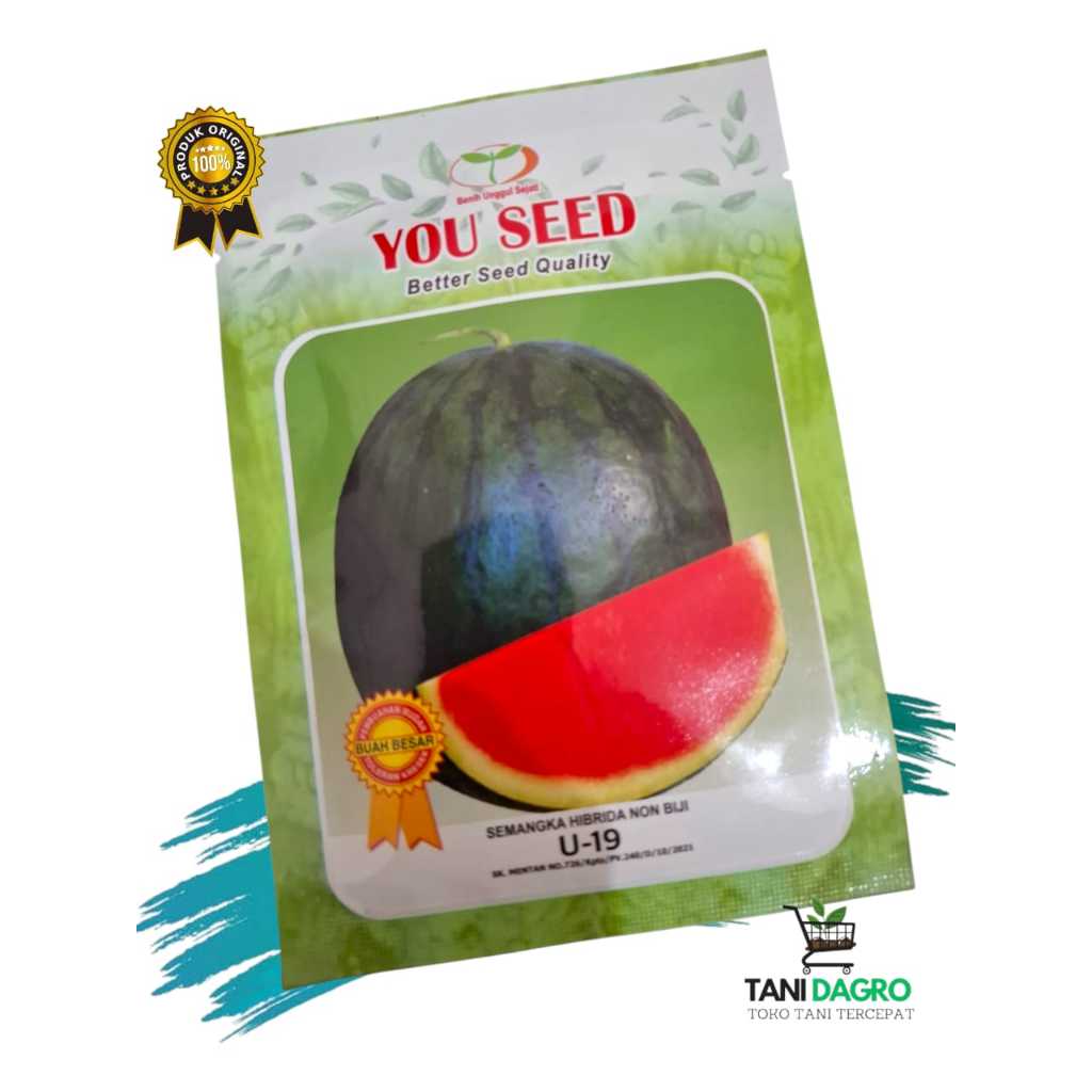 Benih Semangka Non Biji u-19 F1@ 20 gram - semangka non biji mirip amaris atau amara