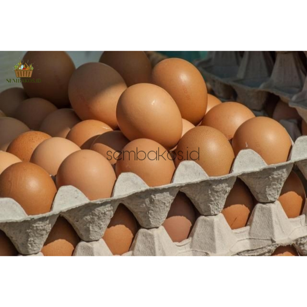 

INSTAN- TELUR AYAM NEGRI | TELOR AYAM FRESH PER 1KG/ PER 500G