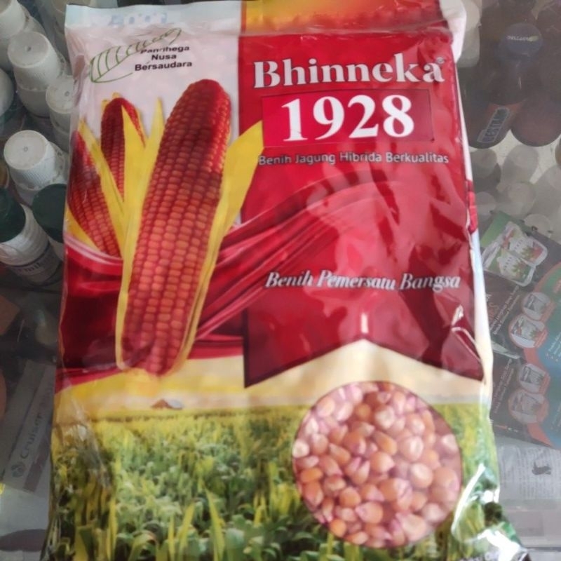 Benih Jagung Bhinneka 1928 Bibit Jagung Hibrida dari Pandhega
