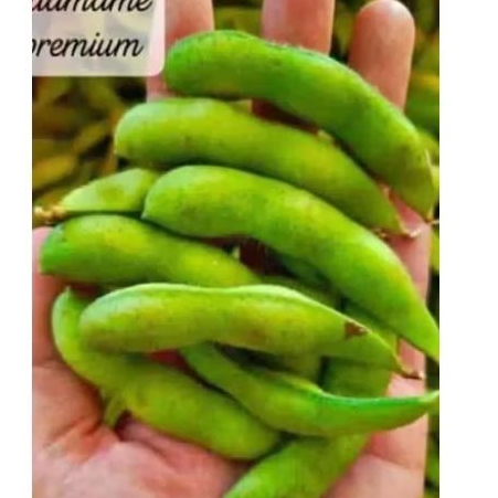 

edamame kedelai muda 1 kg kedele