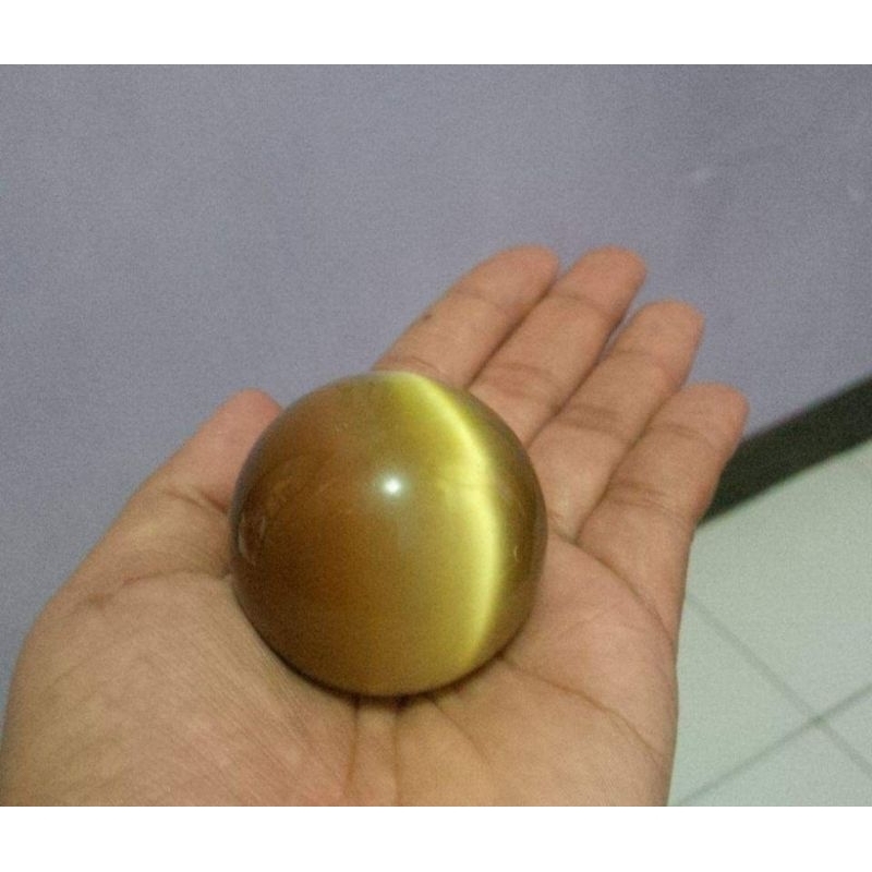mustika kasuari papua